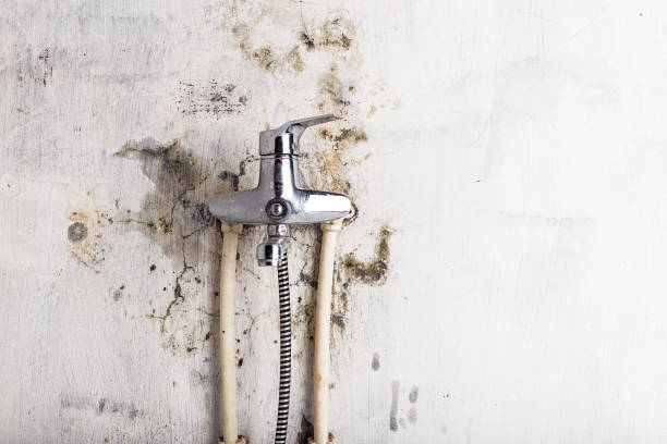Water Damage Restoration in Angola, IN
