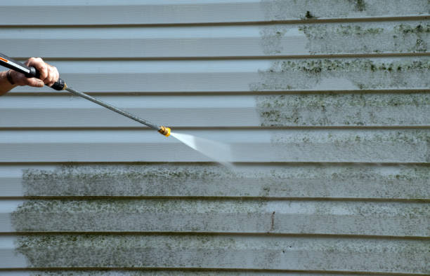 Best Commercial Mold Removal  in Angola, IN