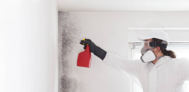 Best Crawl Space Mold Removal  in Angola, IN